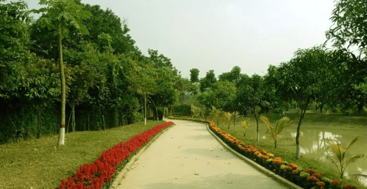 Resort image